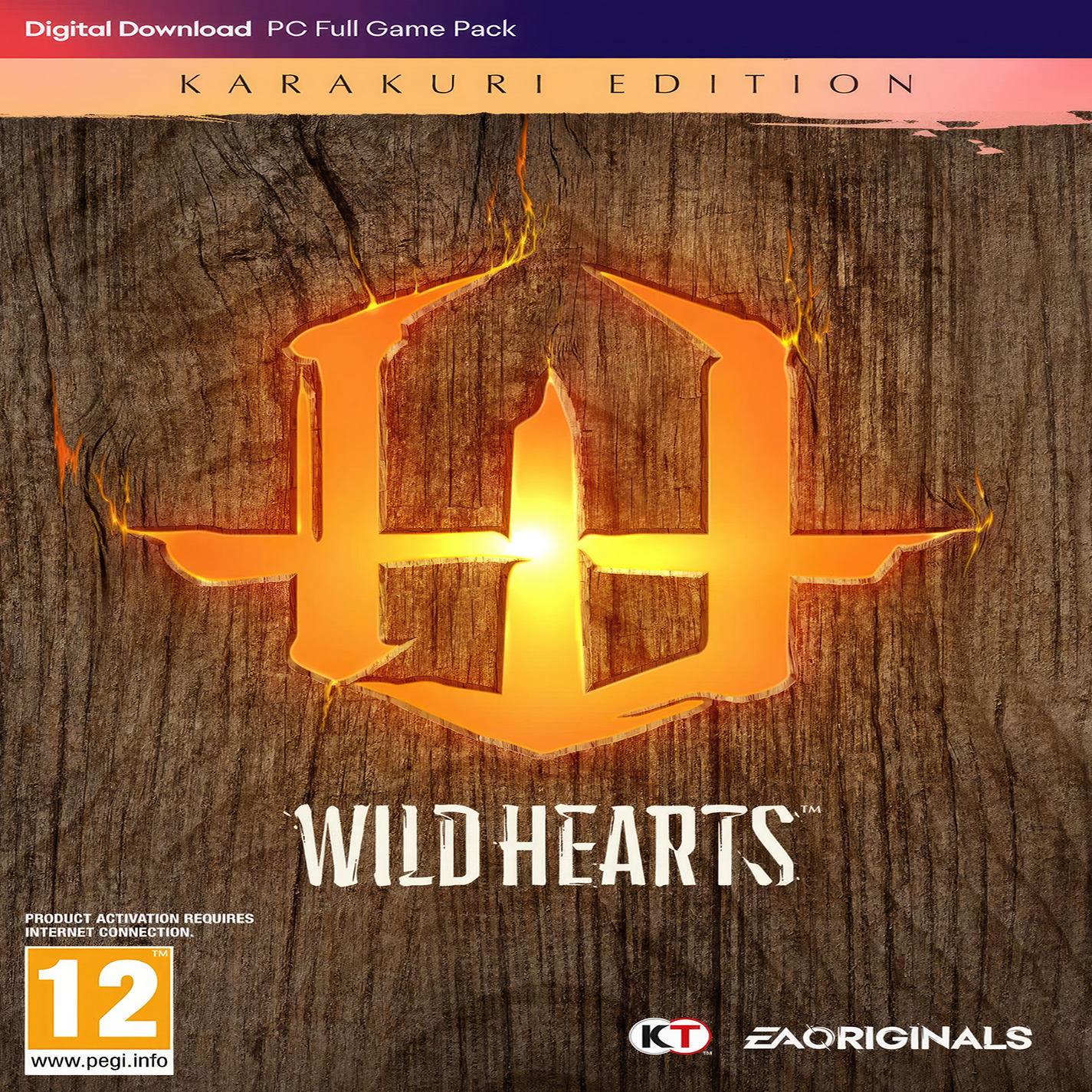 Wild Hearts - predn CD obal 2
