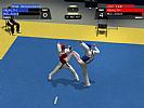 Tae Kwon Do World Champion - screenshot #31