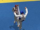 Tae Kwon Do World Champion - screenshot #25