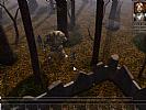 Neverwinter Nights - screenshot #39