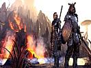 The Elder Scrolls Online: Tamriel Unlimited - screenshot #10