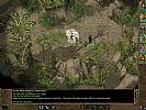 Baldur's Gate 2: Shadows of Amn - screenshot #38