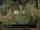 Baldur's Gate 2: Shadows of Amn - screenshot #37