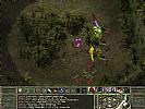 Icewind Dale 2 - screenshot #17