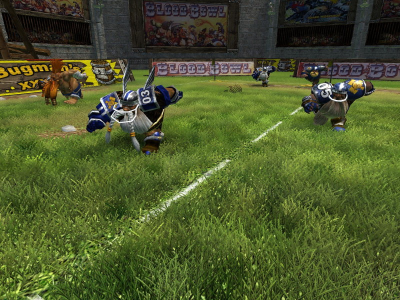 Blood Bowl - screenshot 3