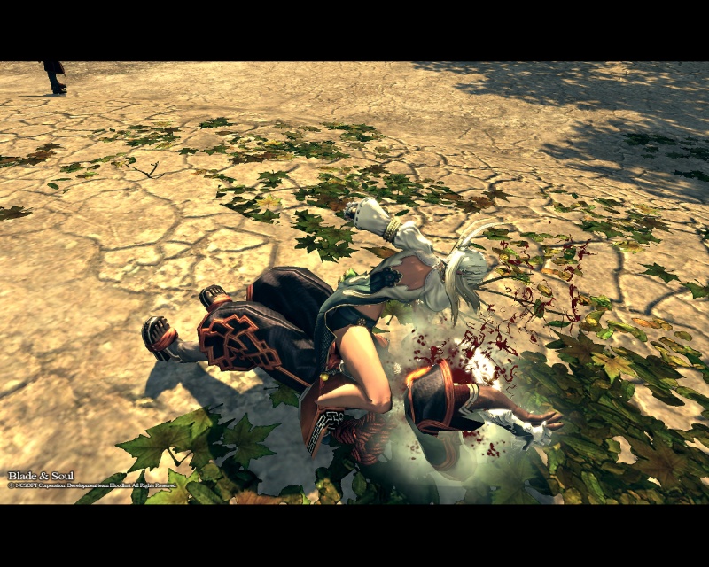 Blade & Soul - screenshot 5