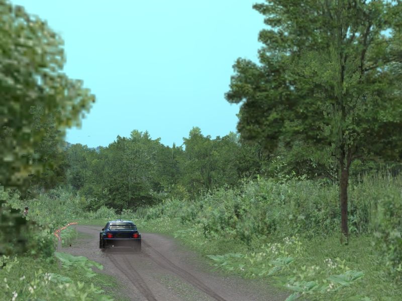 Richard Burns Rally - screenshot 8