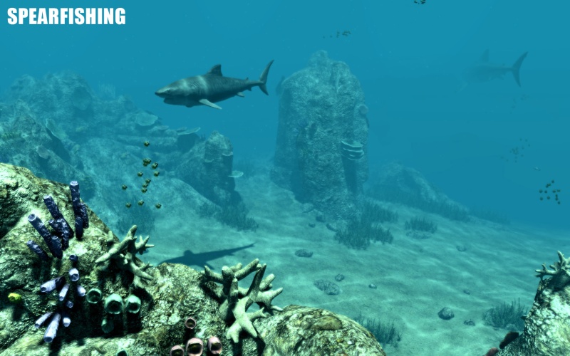 Spearfishing - screenshot 4