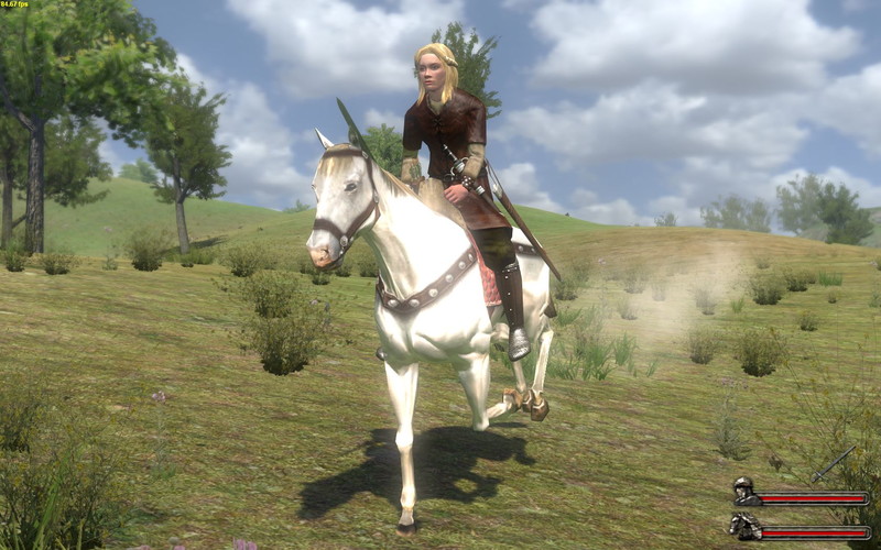 Mount & Blade Collection - screenshot 5