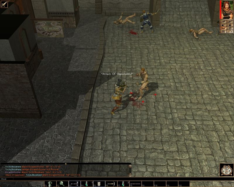 Neverwinter Nights - screenshot 111