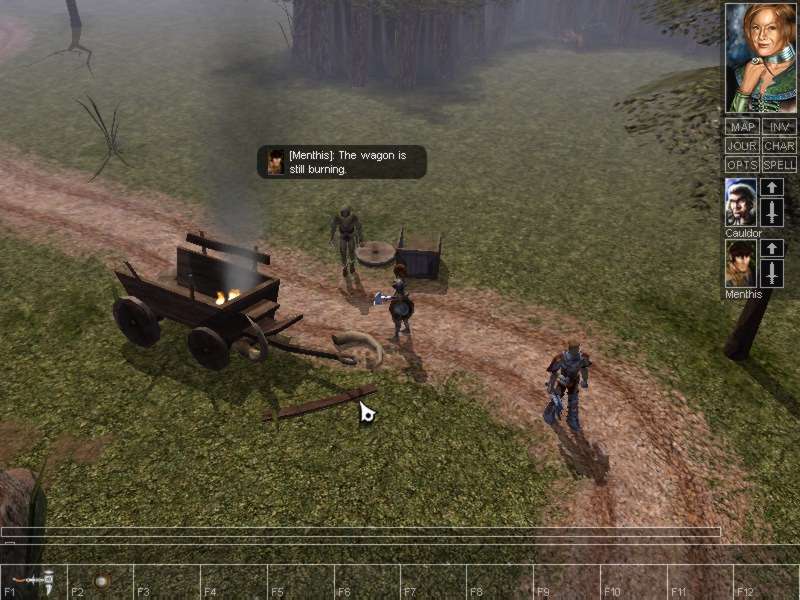 Neverwinter Nights - screenshot 42