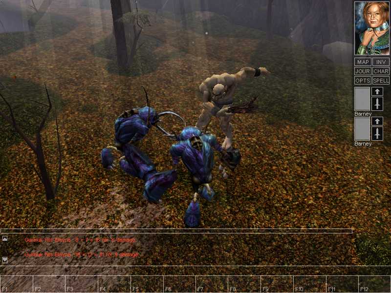 Neverwinter Nights - screenshot 5