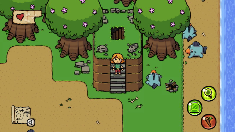 Ittle Dew - screenshot 21