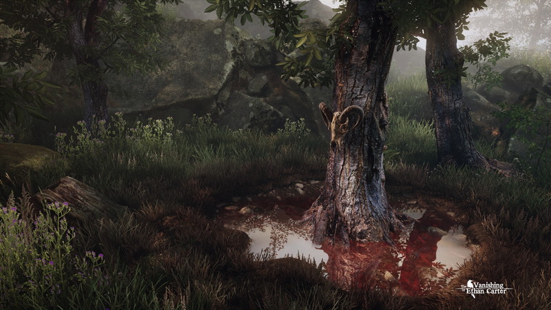 The Vanishing of Ethan Carter - screenshot 2