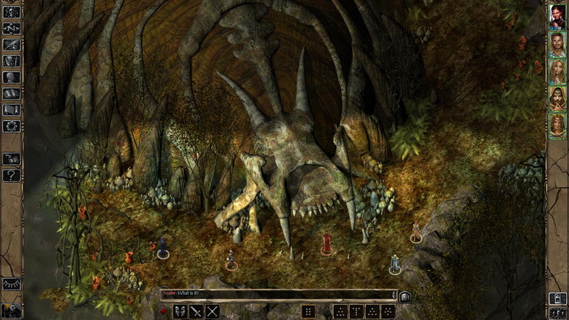 Baldur's Gate II: Enhanced Edition - screenshot 19