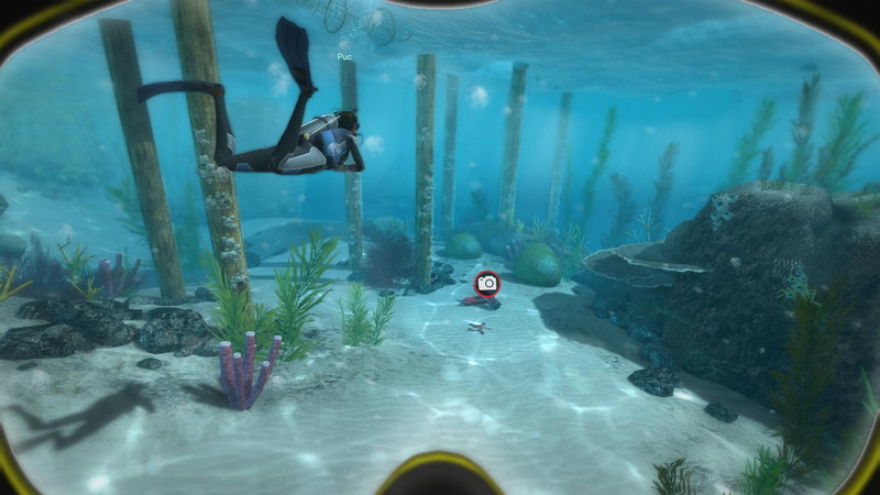 World of Diving - screenshot 19