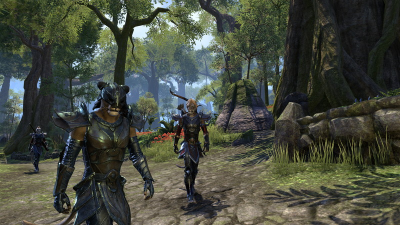 The Elder Scrolls Online: Tamriel Unlimited - screenshot 4