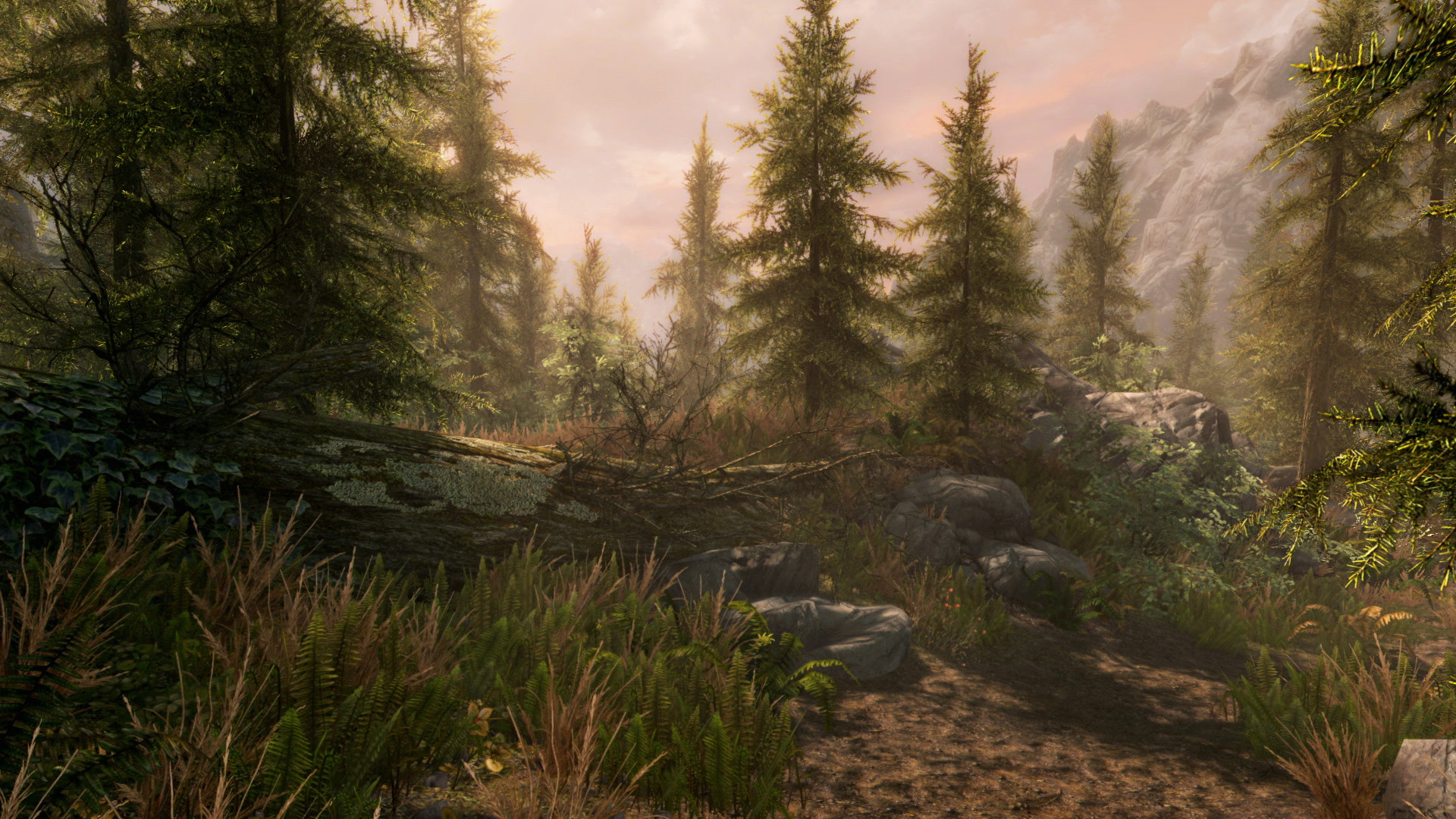 The Elder Scrolls V: Skyrim - Special Edition - screenshot 4