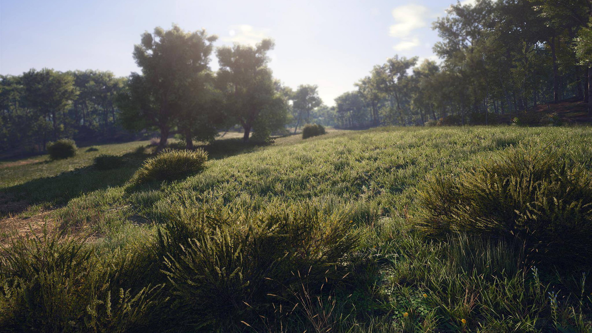 SCUM - screenshot 14