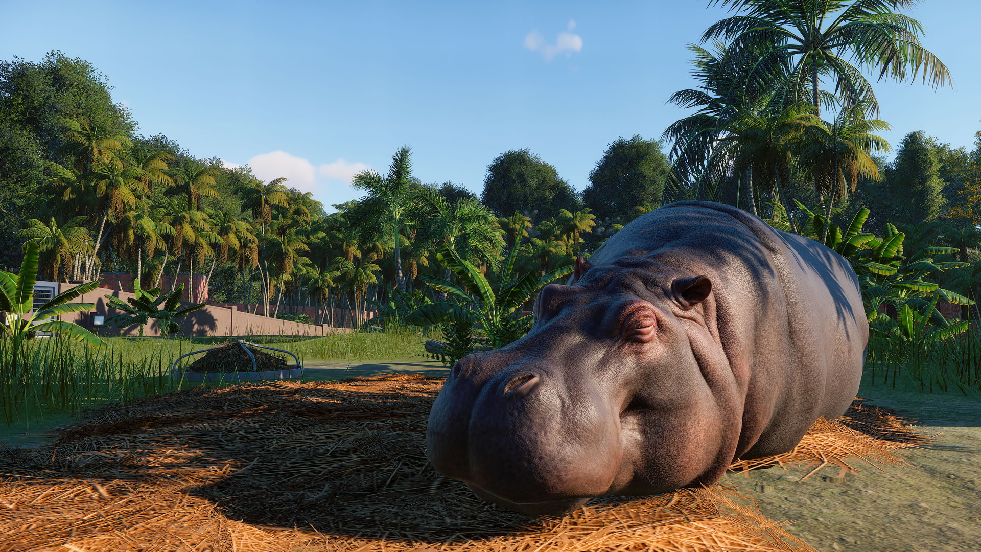 Planet Zoo - screenshot 39