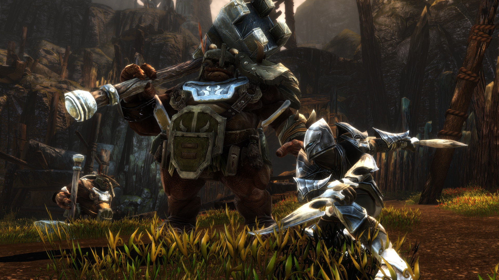 Kingdoms of Amalur: Re-Reckoning - screenshot 7