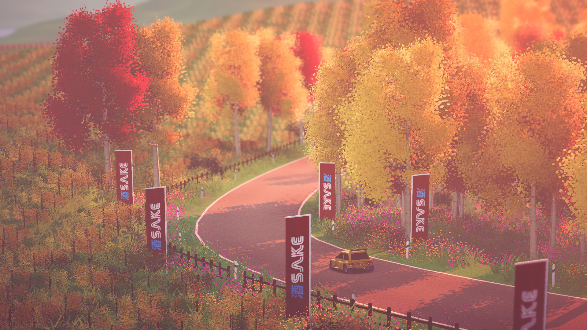 art of rally - screenshot 6