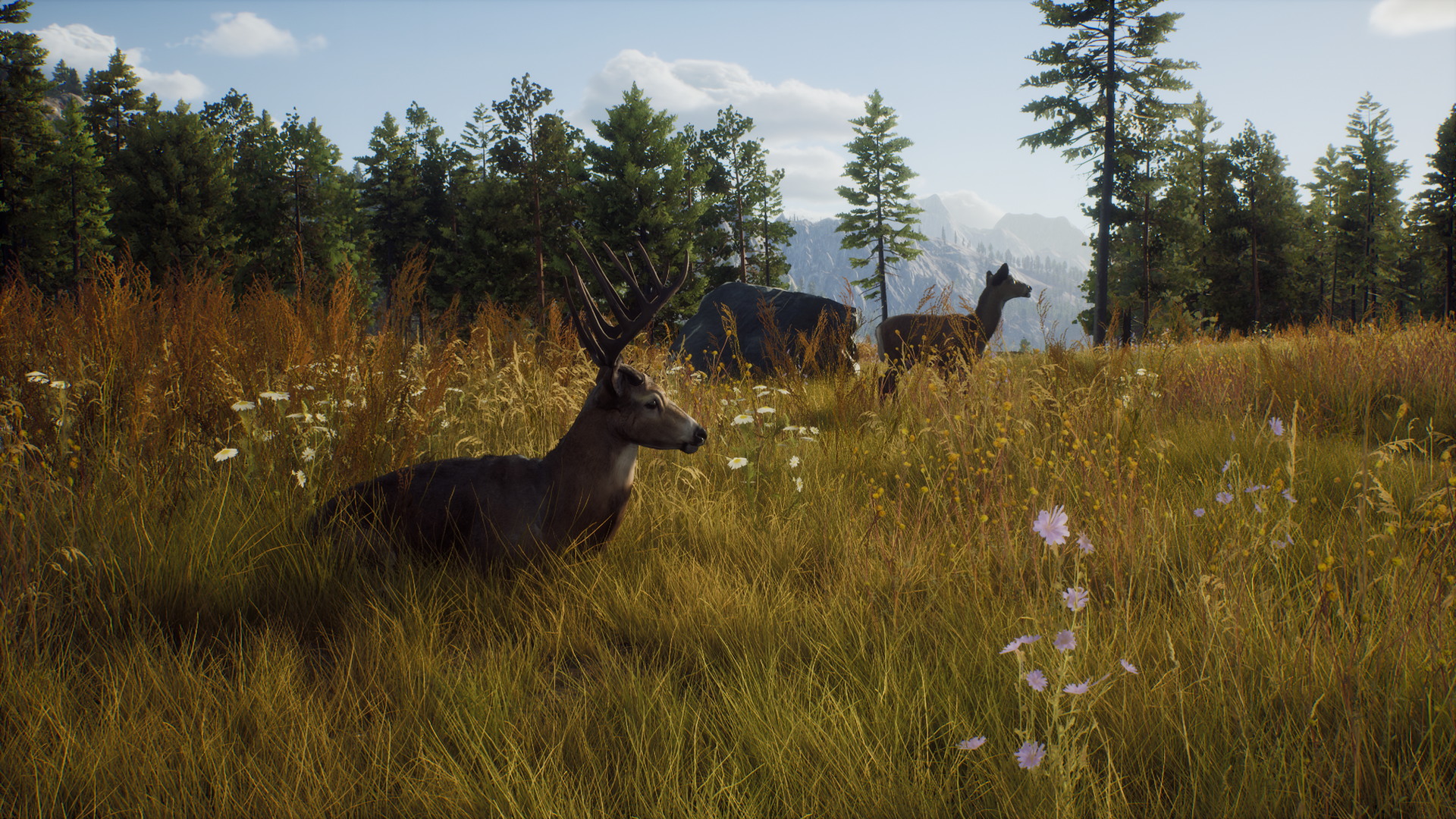 Way of the Hunter - screenshot 14