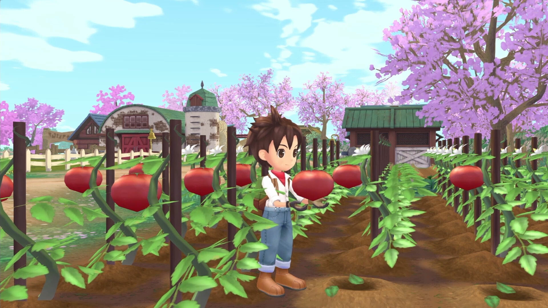 Story of Seasons: A Wonderful Life - screenshot 12