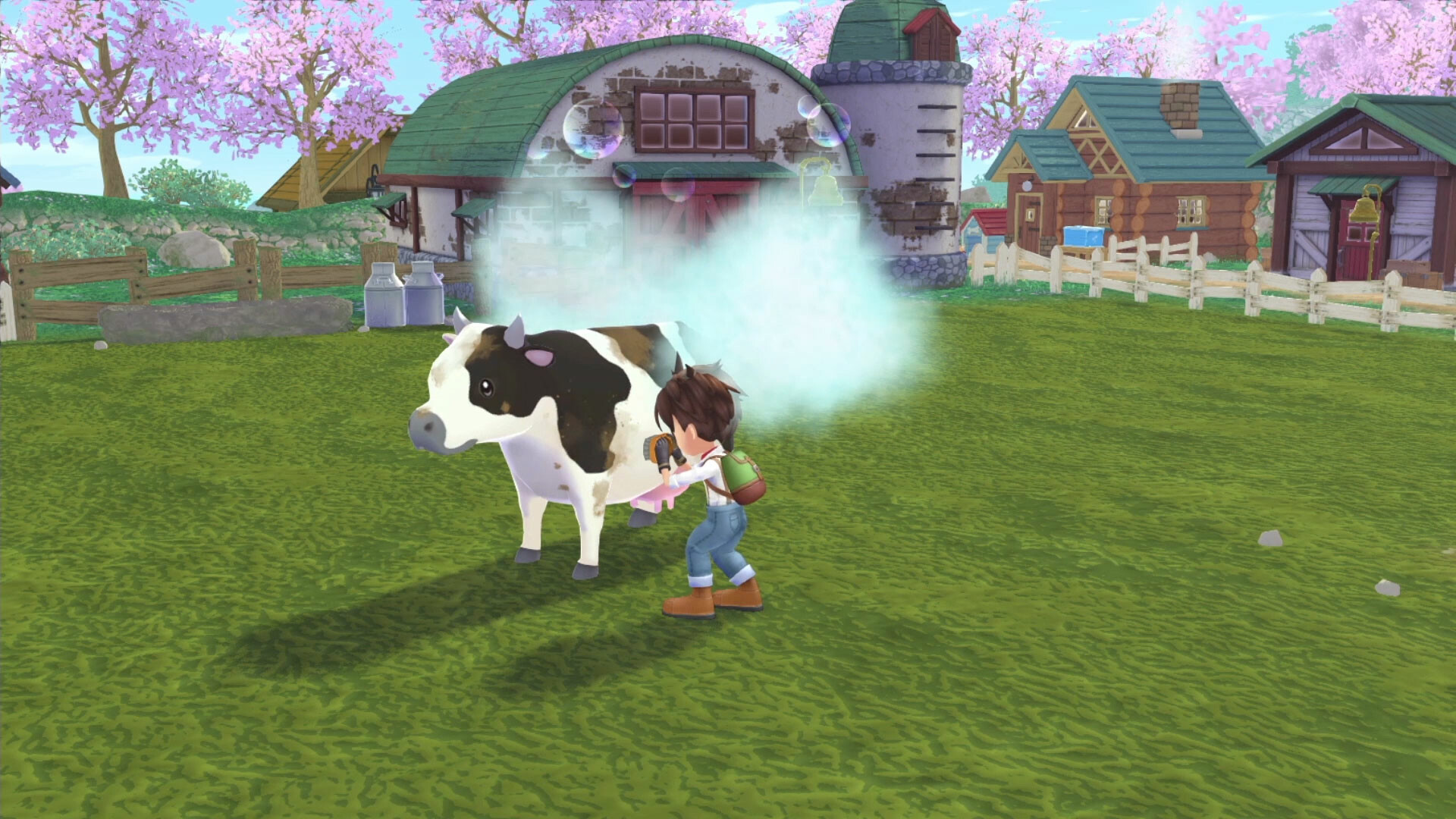 Story of Seasons: A Wonderful Life - screenshot 10