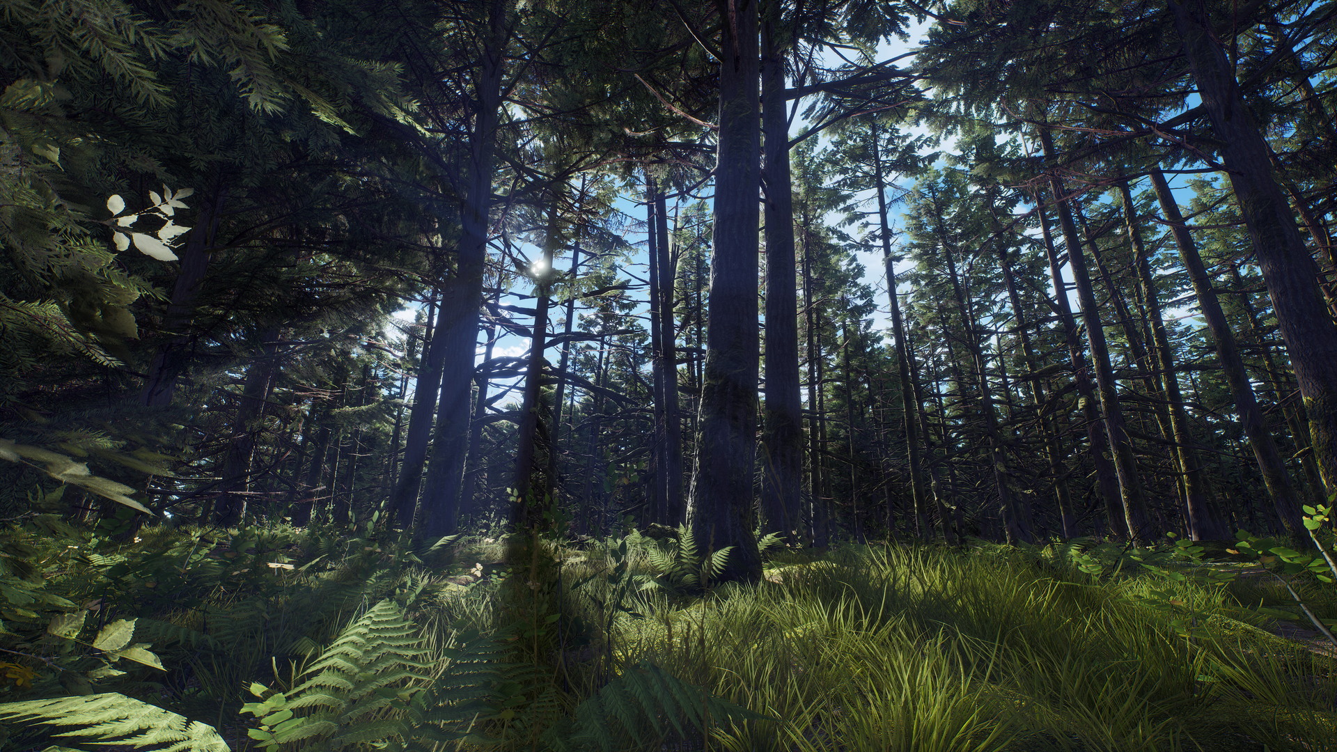 Way of the Hunter: Aurora Shores - screenshot 9