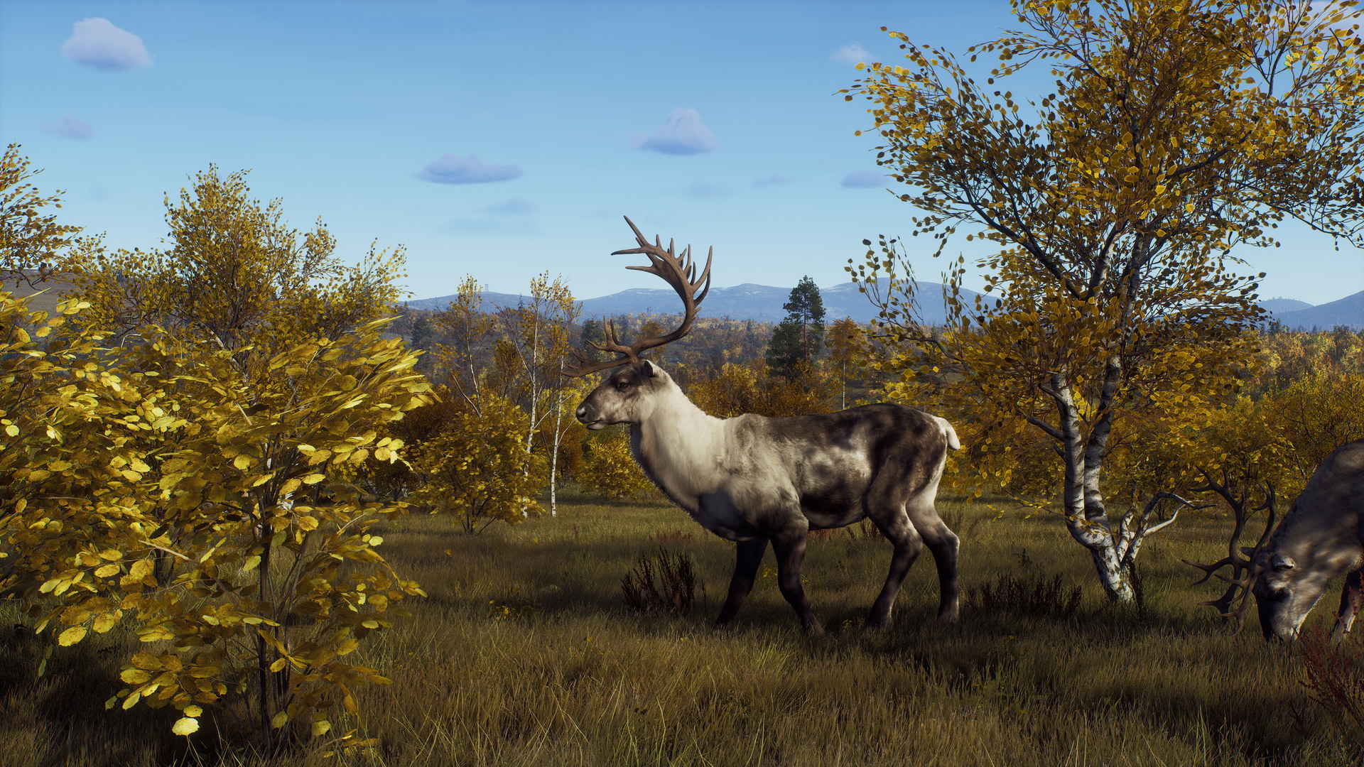 Way of the Hunter: Lintukoto Reserve - screenshot 7