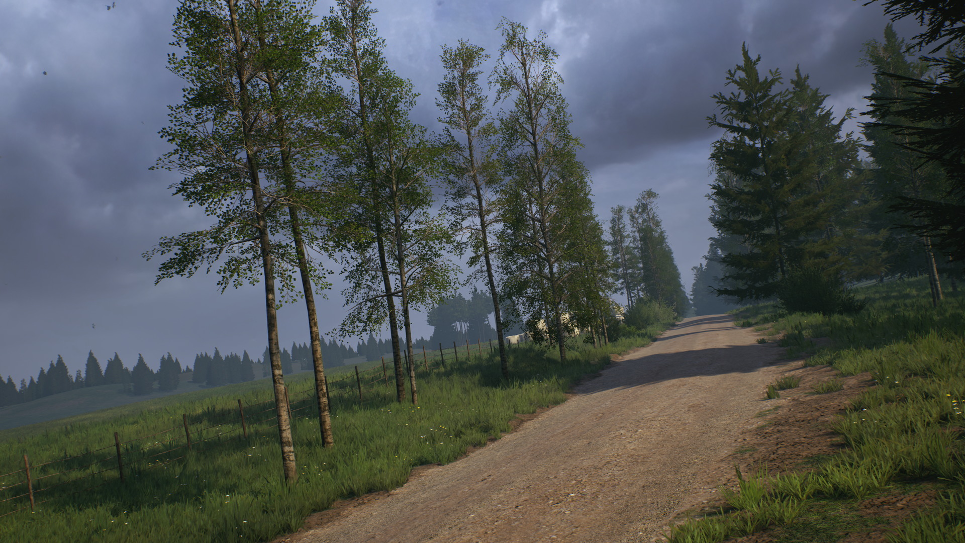 EA Sports WRC 24 - screenshot 14