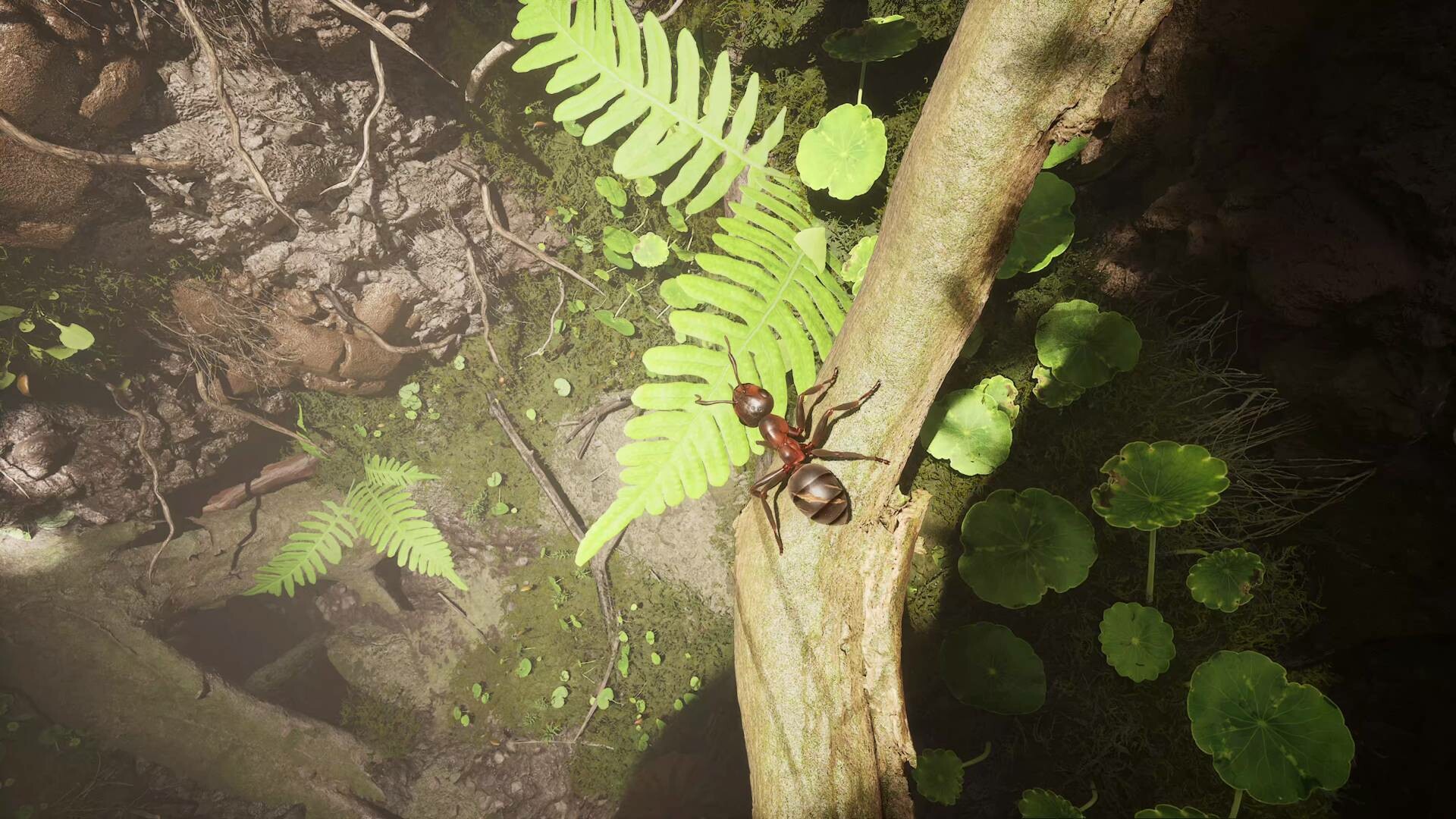 Empire of the Ants - screenshot 6