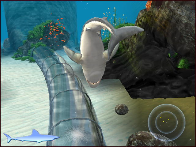 Jaws Unleashed - screenshot 22