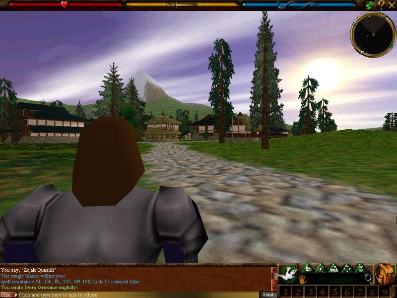 Asheron's Call - screenshot 11