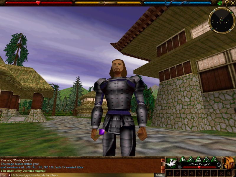 Asheron's Call - screenshot 9