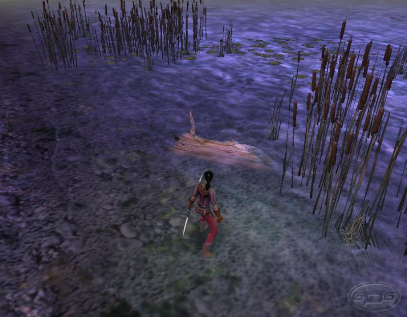 Dungeon Siege - screenshot 18