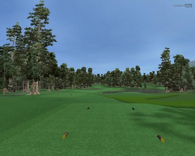 CustomPlay Golf - screenshot 25