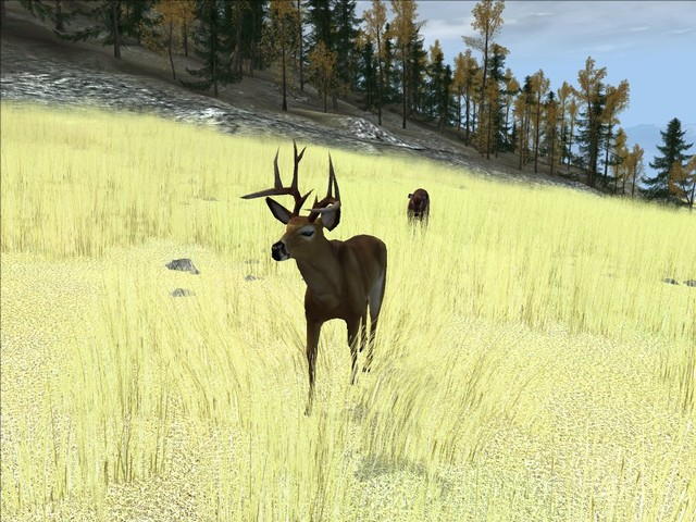 Deer Hunter 2004 - screenshot 50