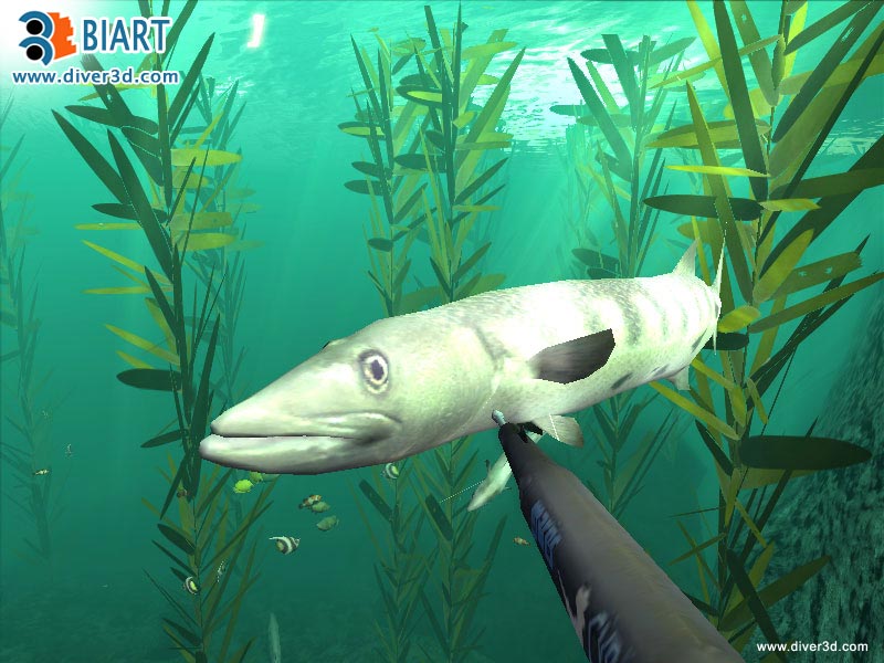 Diver: Deep Water Adventures - screenshot 185