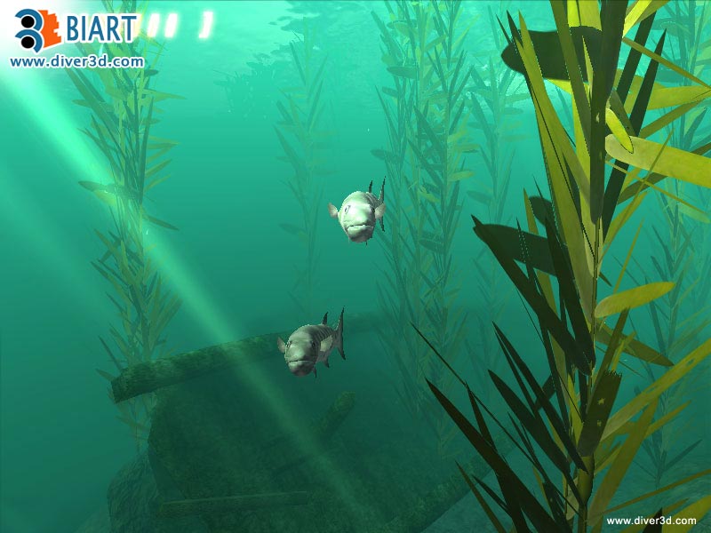 Diver: Deep Water Adventures - screenshot 182