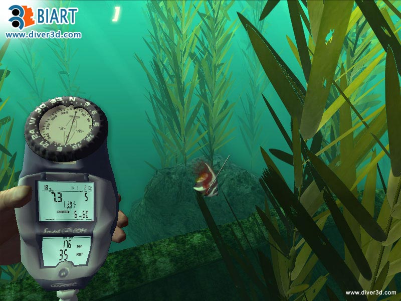 Diver: Deep Water Adventures - screenshot 181