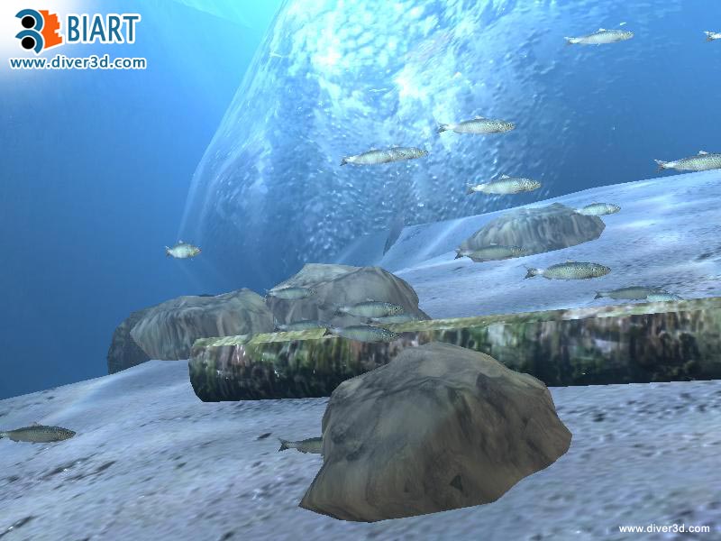 Diver: Deep Water Adventures - screenshot 179