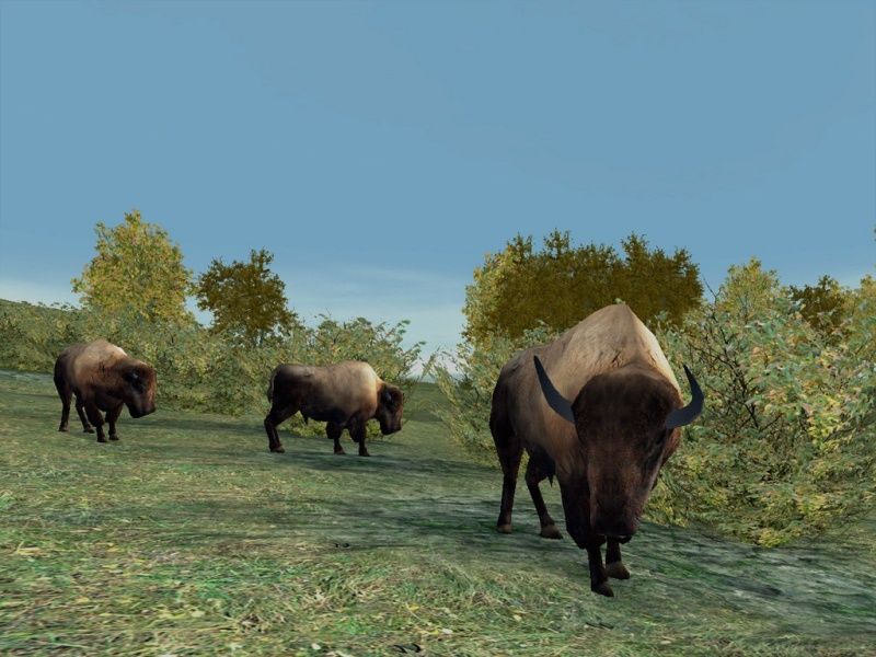 Hunting Unlimited 2 - screenshot 33