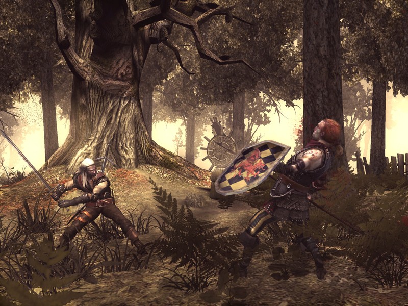 The Witcher - screenshot 69