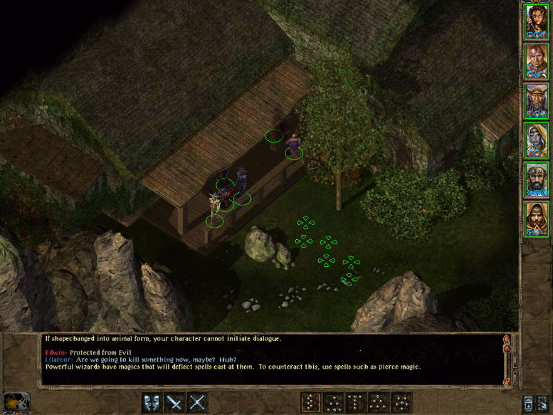 Baldur's Gate 2: Shadows of Amn - screenshot 75