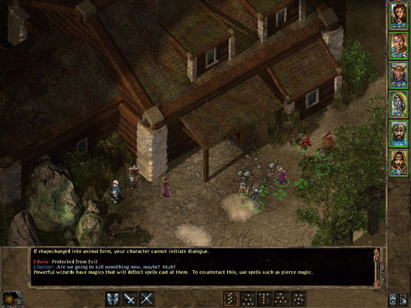 Baldur's Gate 2: Shadows of Amn - screenshot 74