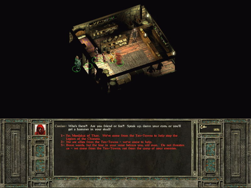 Icewind Dale 2 - screenshot 30