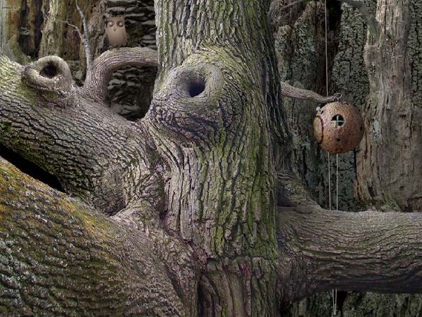 Samorost 1 - screenshot 3