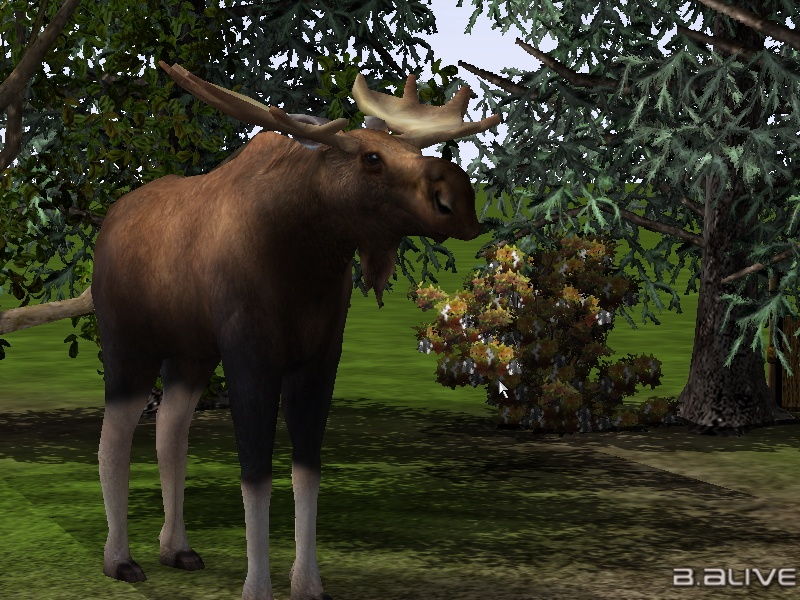 Wildlife Park 2 - screenshot 90